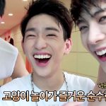 Real GOT7 Season 2「Meow~ Cute Cat-Idol GOT7」