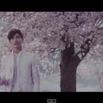 東方神起、10周年記念シングル『サクラミチ』MVショートVer.