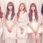 I.B.I プロフィール