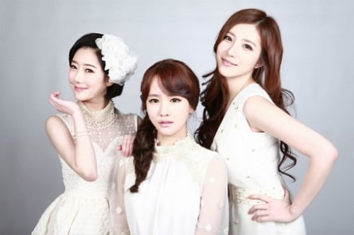 Peernine プロフィール