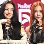 新人ガールズグループPRIMROSE、デビュー曲『PRIMROSE』M/V公開