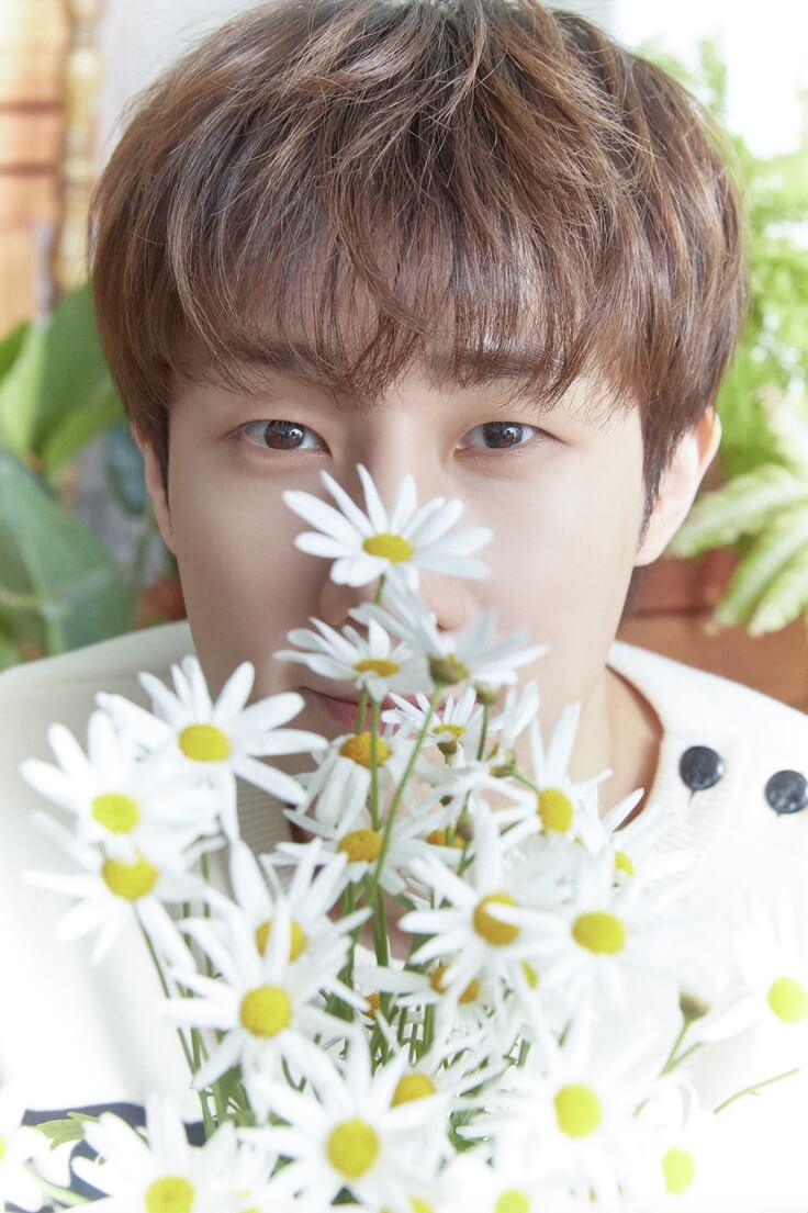kpopdrama.info INFINITE、デビュー14周年記念ファンソング『Flower』ライブクリップ公開